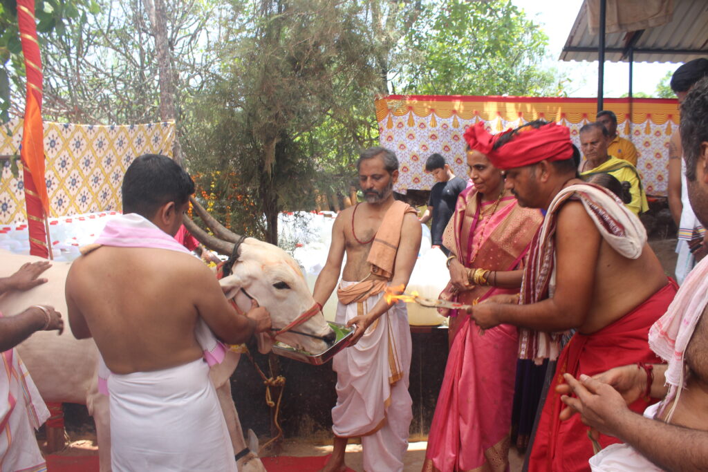 Shree Suryamukhi Datta Mandir Math Pawas gAU SEVA
